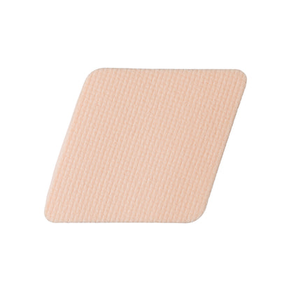 Dual Layer Fit Sponge (2 pieces)
