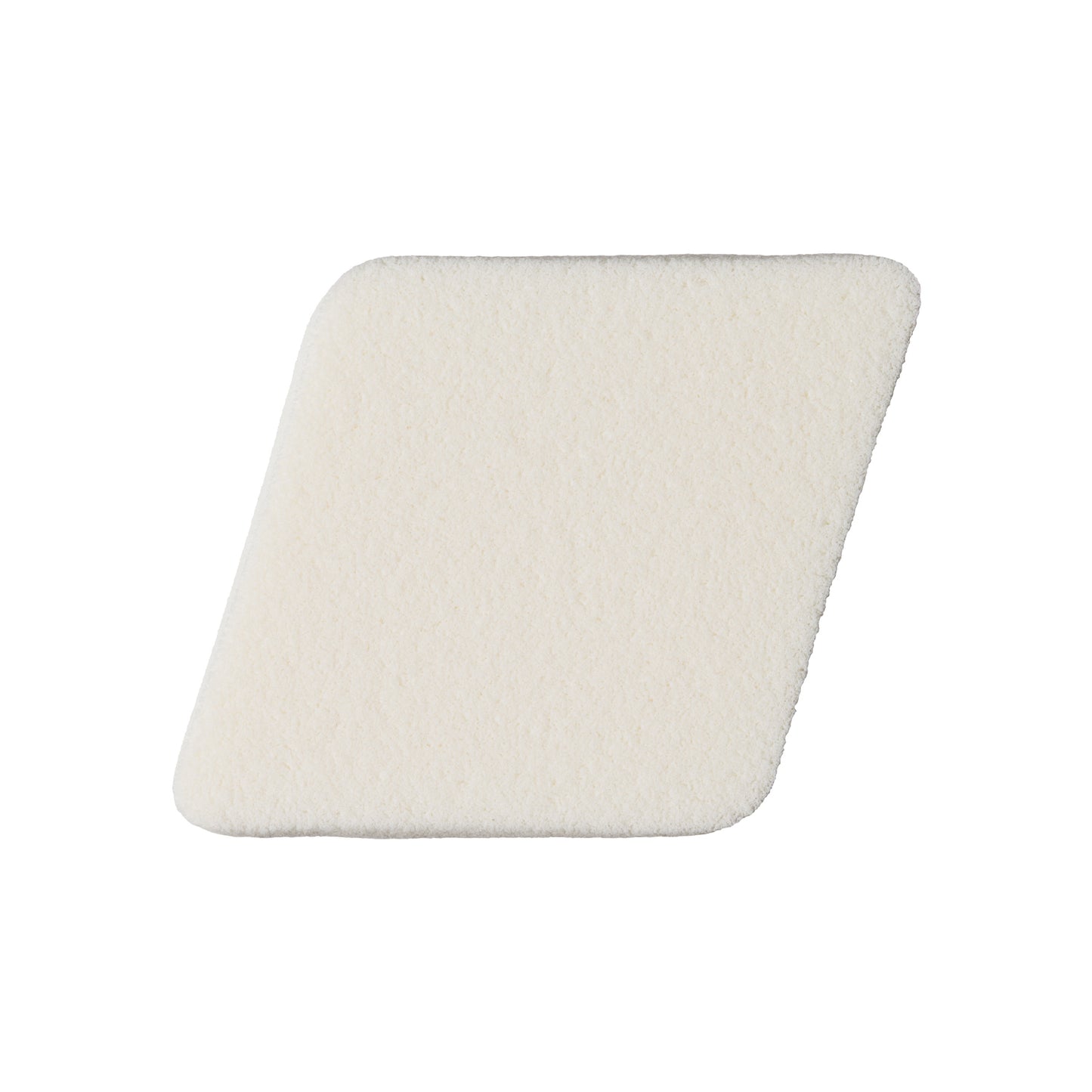 Dual Layer Fit Sponge (2 pieces)